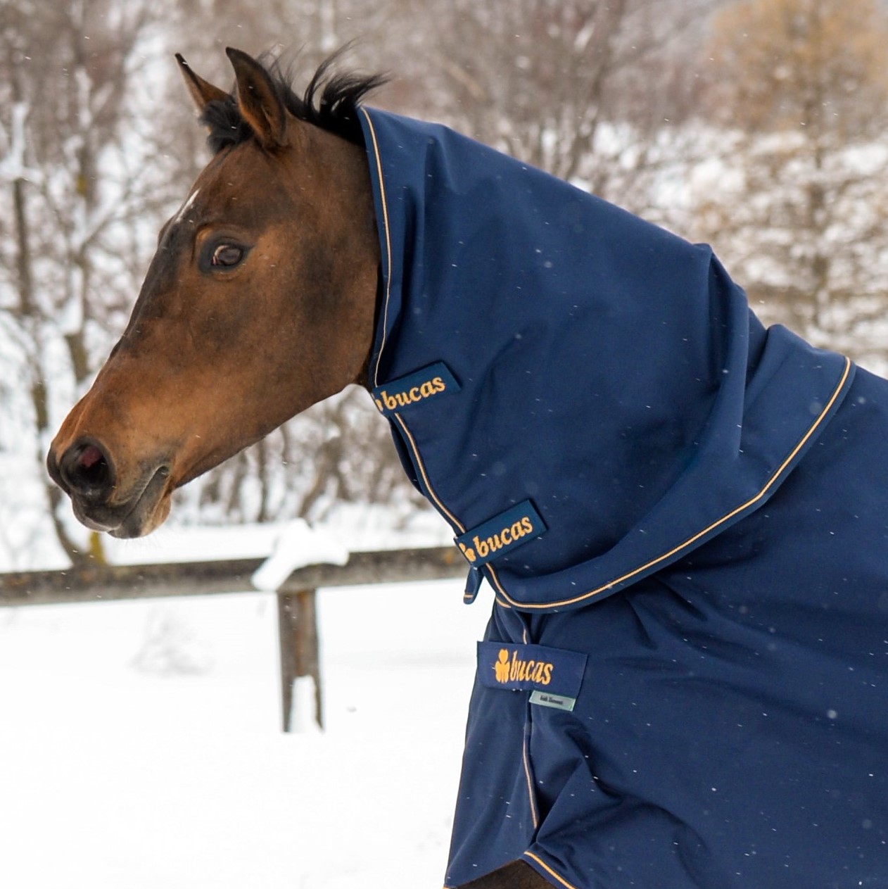 Bucas Irish Combi Neck - Kaulakappale - Laivastonsininen/Kulta, L - 2