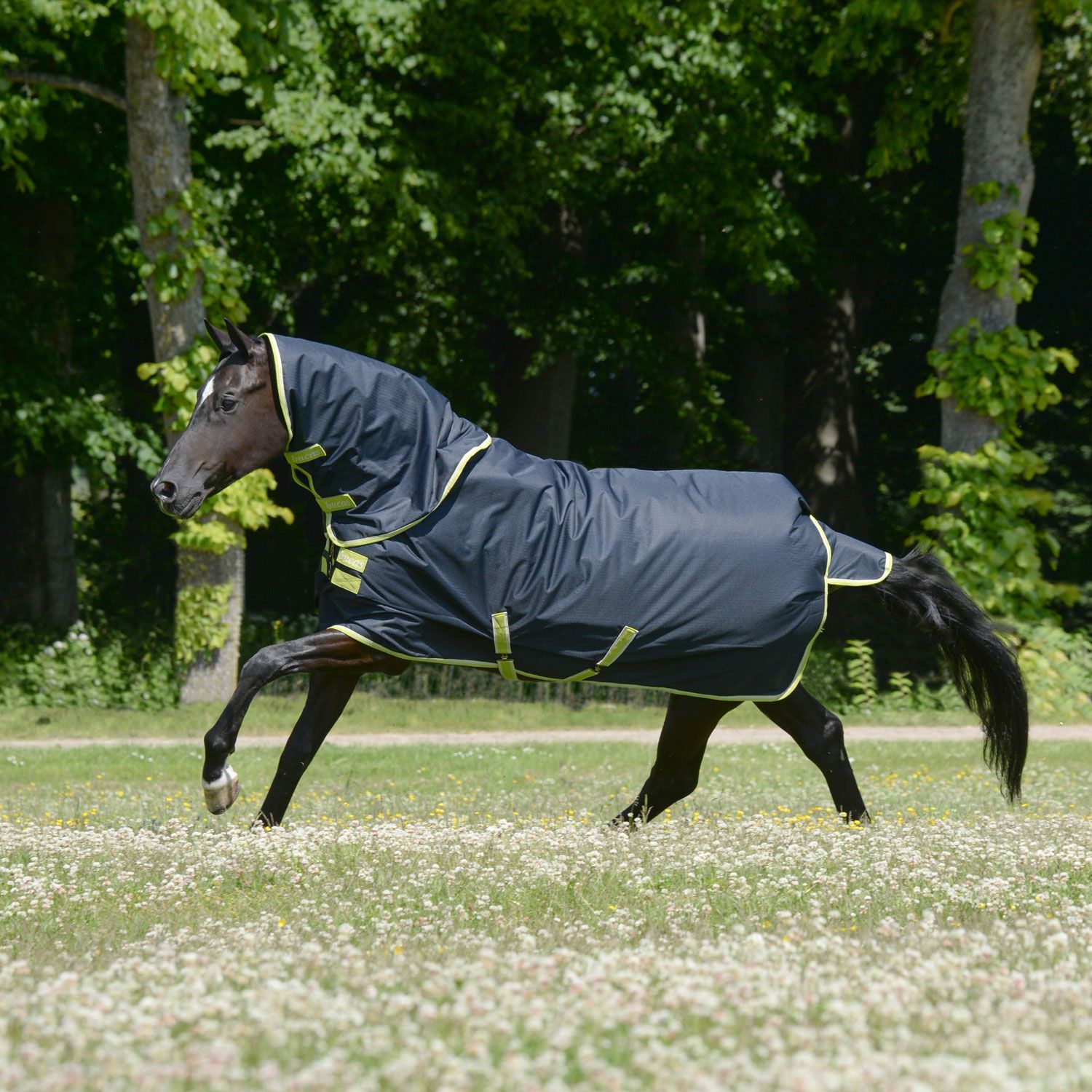 Bucas Oasis Turnout 200 g + Neck Ulkoloimi - Dark grey/Lime, 155