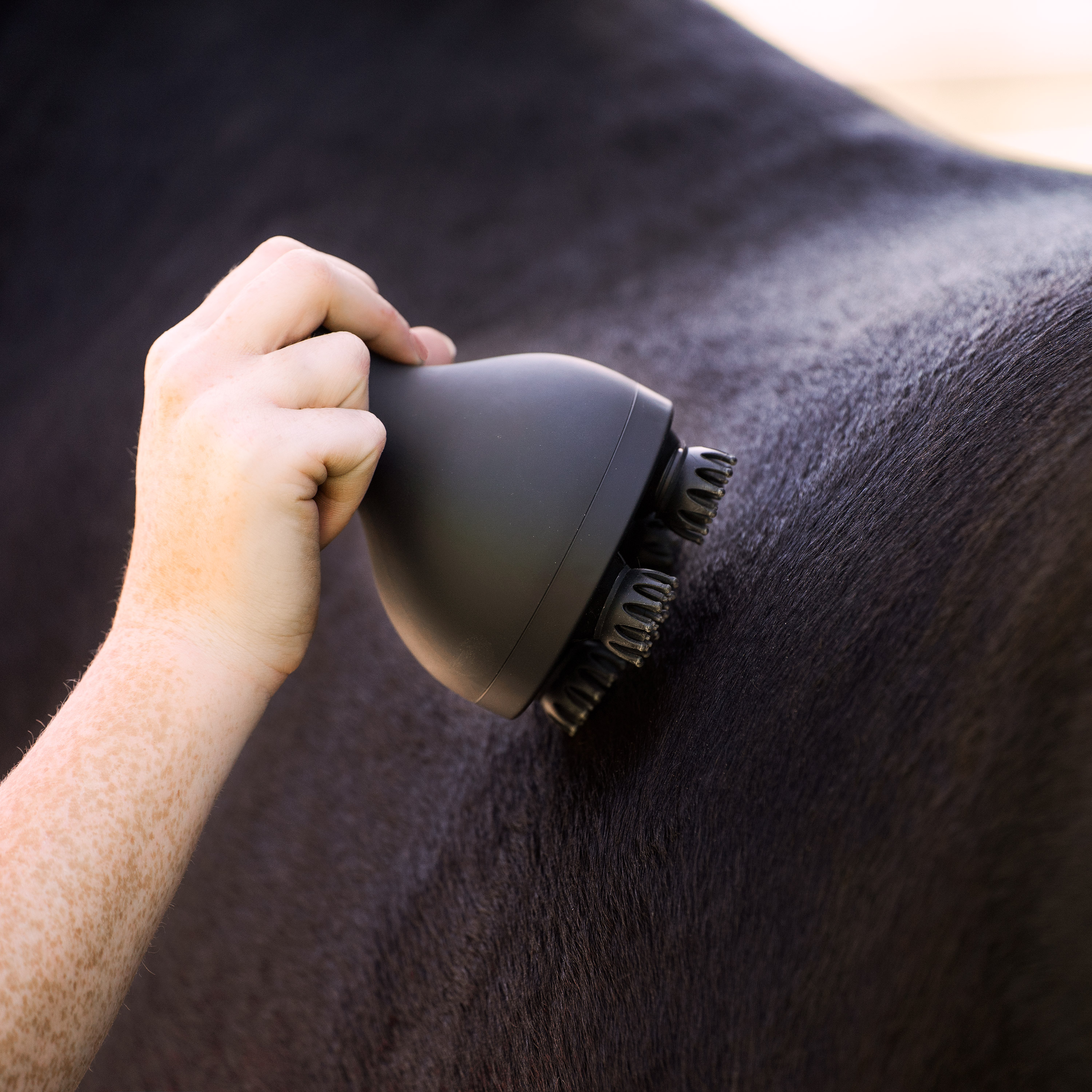 Imperial Riding Volta Grooming & Relaxation Brush - 18