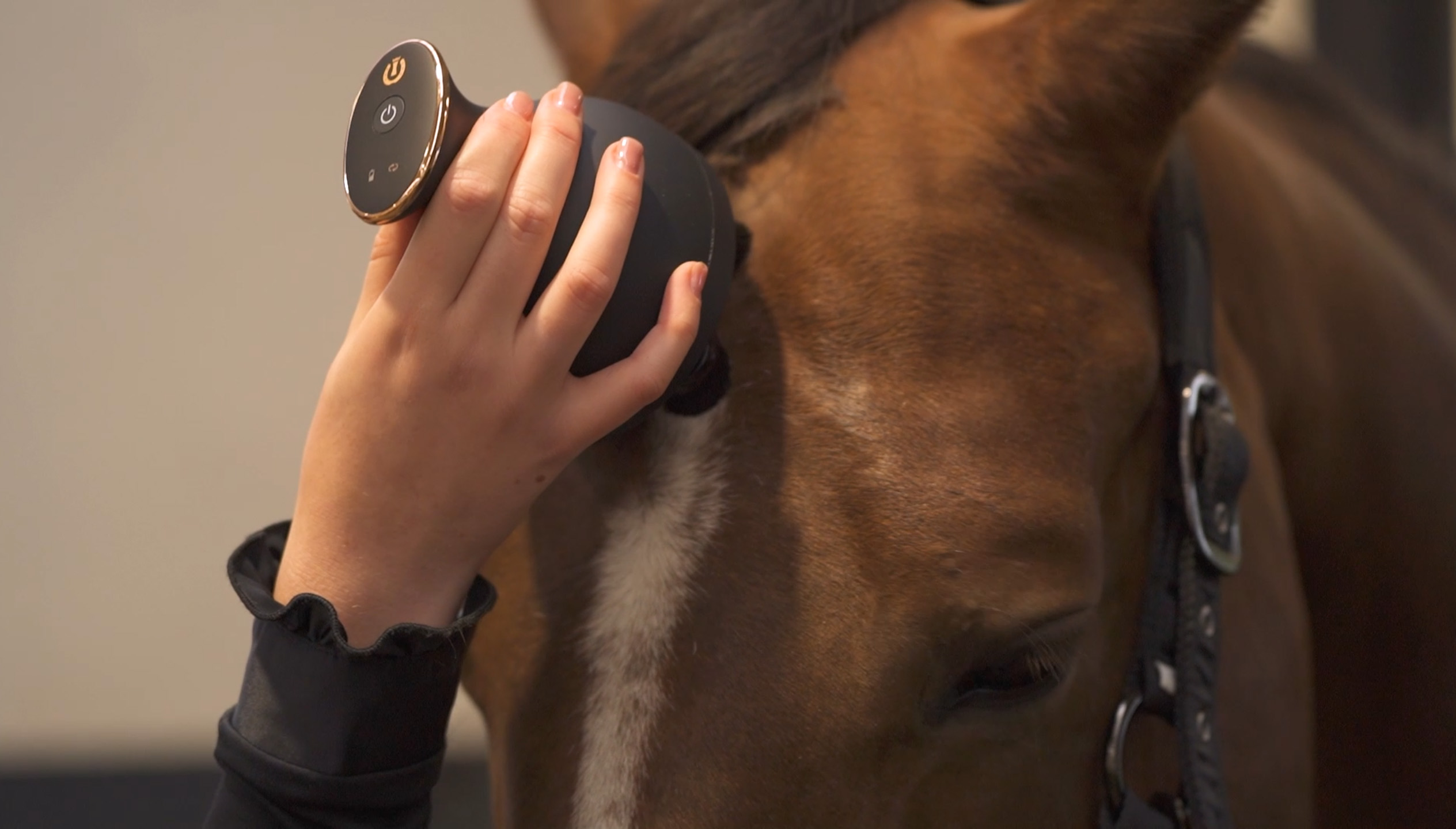 Imperial Riding Volta Grooming & Relaxation Brush - 5