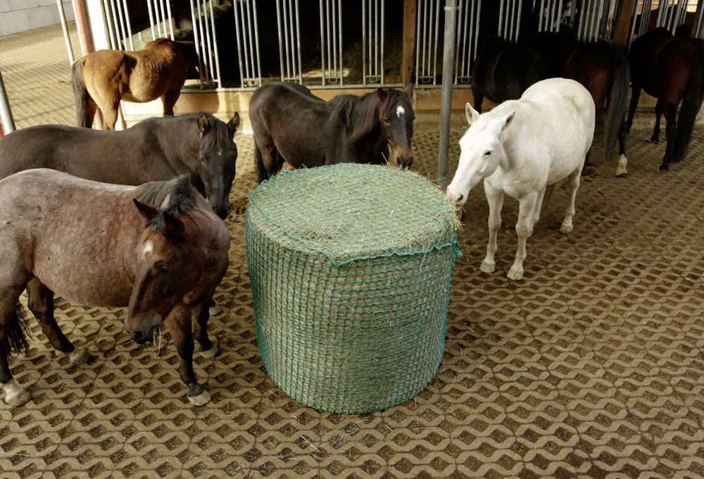 Kerbl Hay net for Round Bales - 150 x 150 cm, 150 x 150 cm - 7
