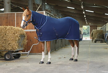 RIDING WORLD Combo Polar Fleeceloimi Navy/Sky Blue