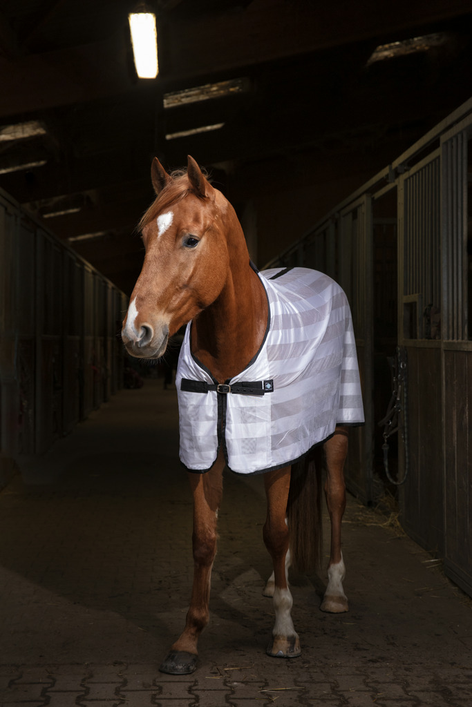 RIDING WORLD 'Mesh' Summer Sheet White