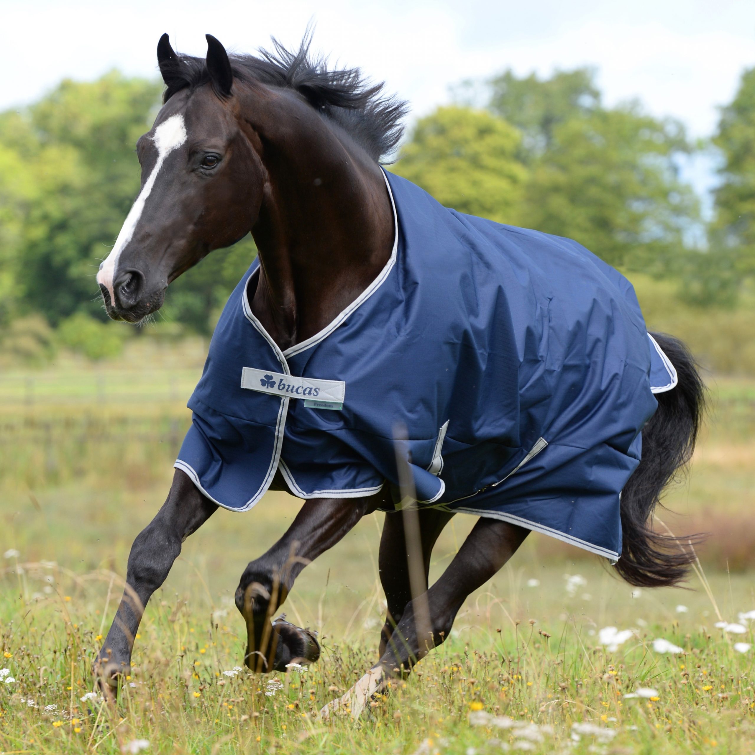 Bucas Freedom Turnout Rug 150 g - Navy Blue/Silver, 110 - 2