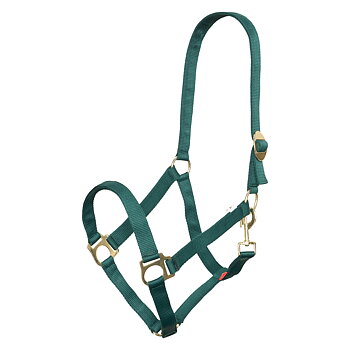 Imperial Riding Headcollar Economic Forest green