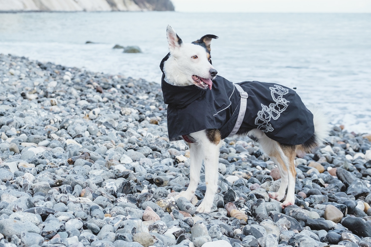 Hurtta Drizzle Rain Coat - Raven , 80 - only this copy - 5
