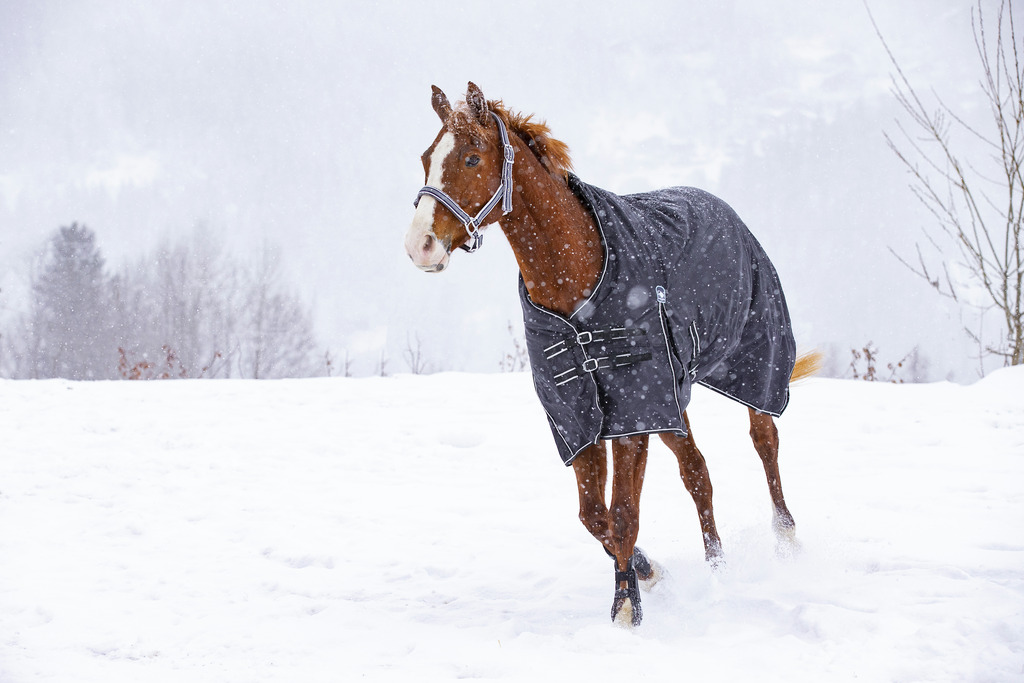 RIDING WORLD 'Oxford' Waterproof Rug, Lined With Polar Fleece Black - 3
