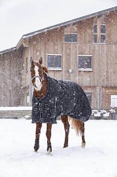 RIDING WORLD 'Oxford' Vedenpitävä Loimi Polar Fleece-Vuorella Musta