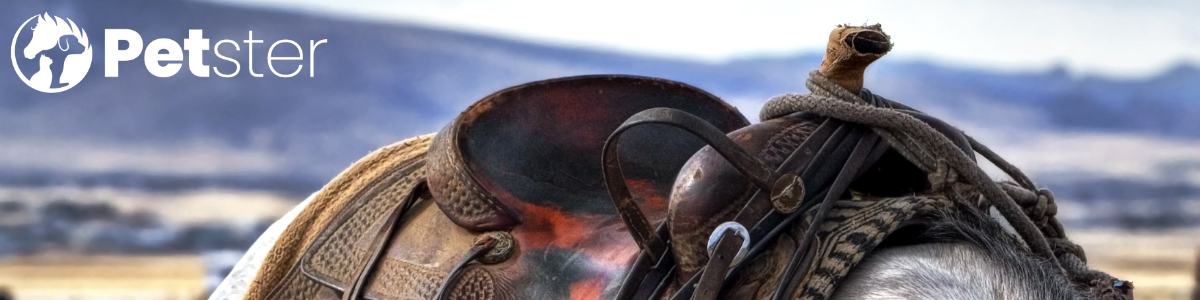 Westernsadlar, paddar och tillbehör hos Petster