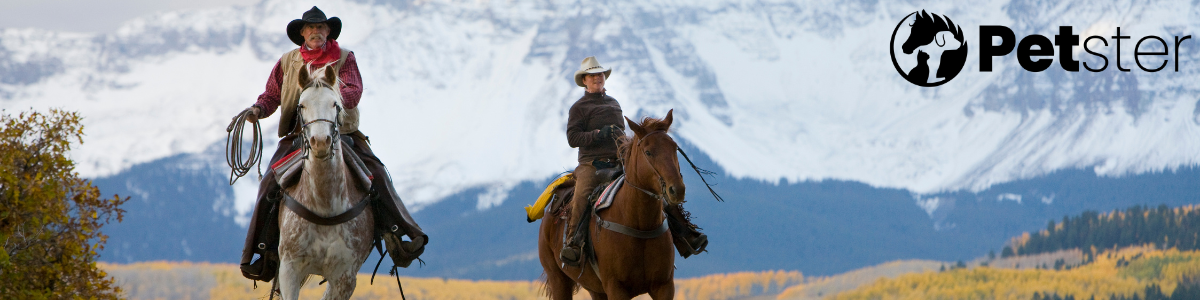 Westernträns & Tillbehör på Petster