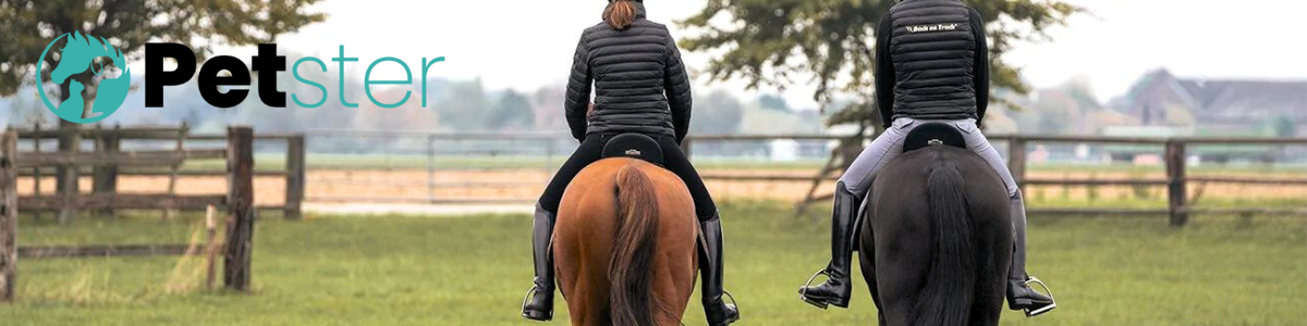 MEN'S RIDIN BREECHES- Riding breeches for a comfortable and functional riding experience, at PETSTER