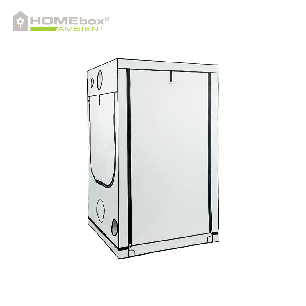 HOMEbox Ambient Q120 - 3