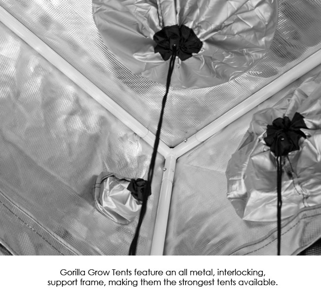 Gorilla Grow Tent  122x122x210/240cm - 2