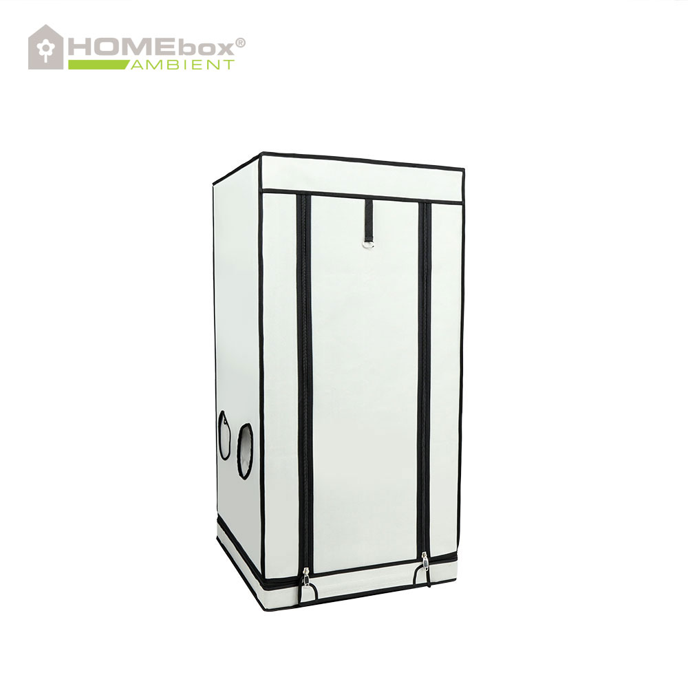 HOMEbox Ambient Q60+ - 3