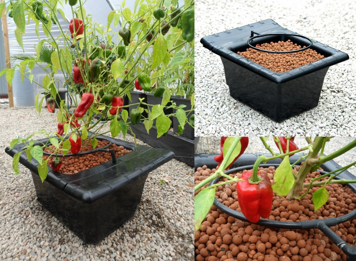 Nutriculture - FLO-GRO 500 - 3