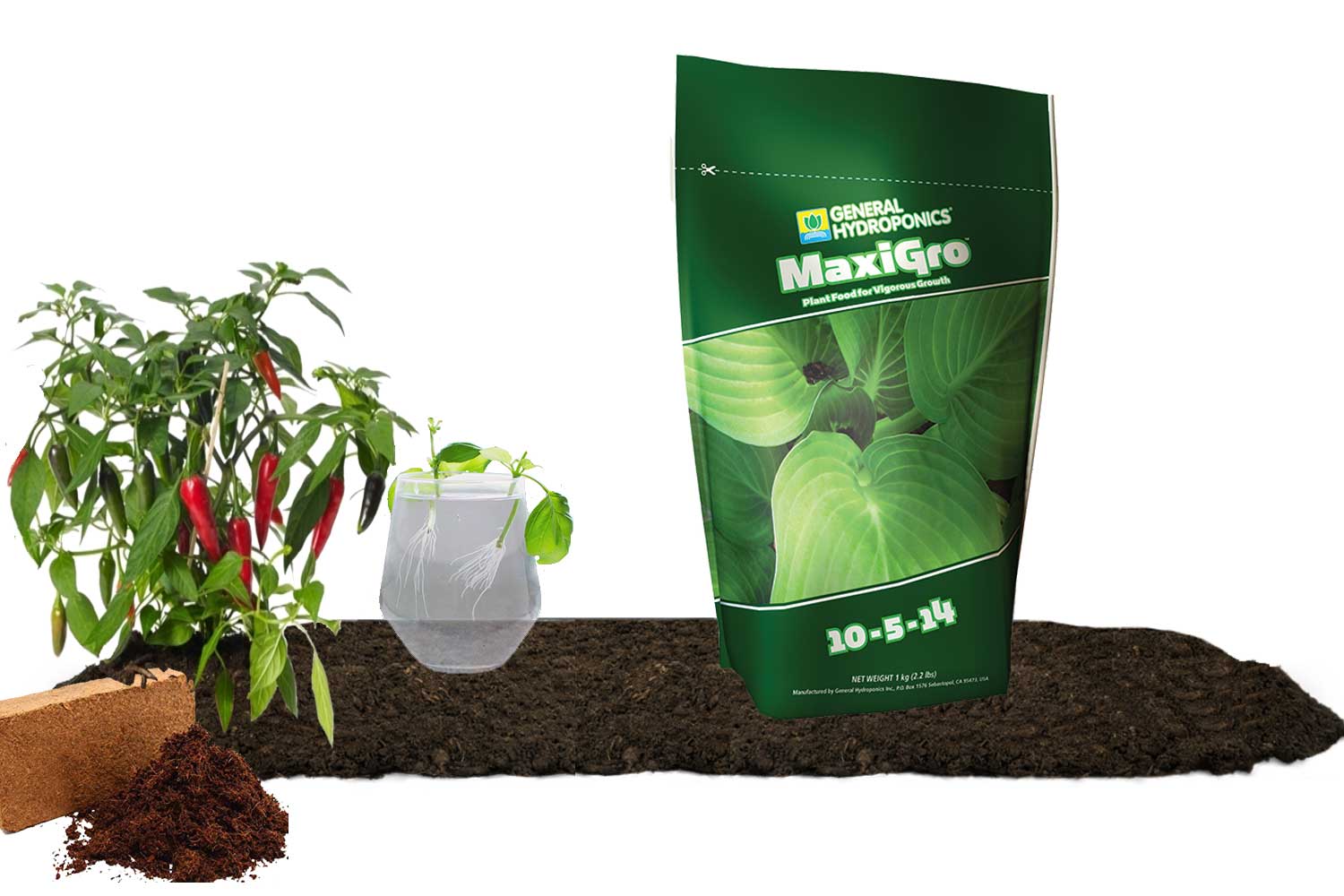 T.A MaxiGro 1Kg (GHE)