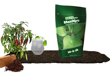 T.A MaxiGro 1Kg (GHE)