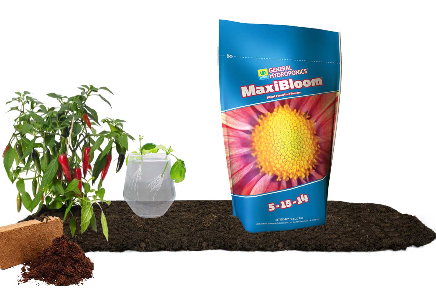 T.A MaxiBloom 1Kg (GHE)