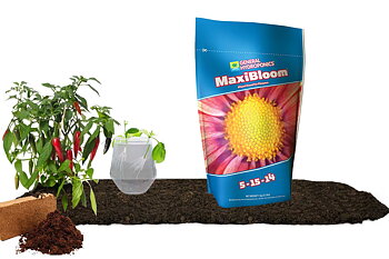 T.A MaxiBloom 1Kg (GHE)
