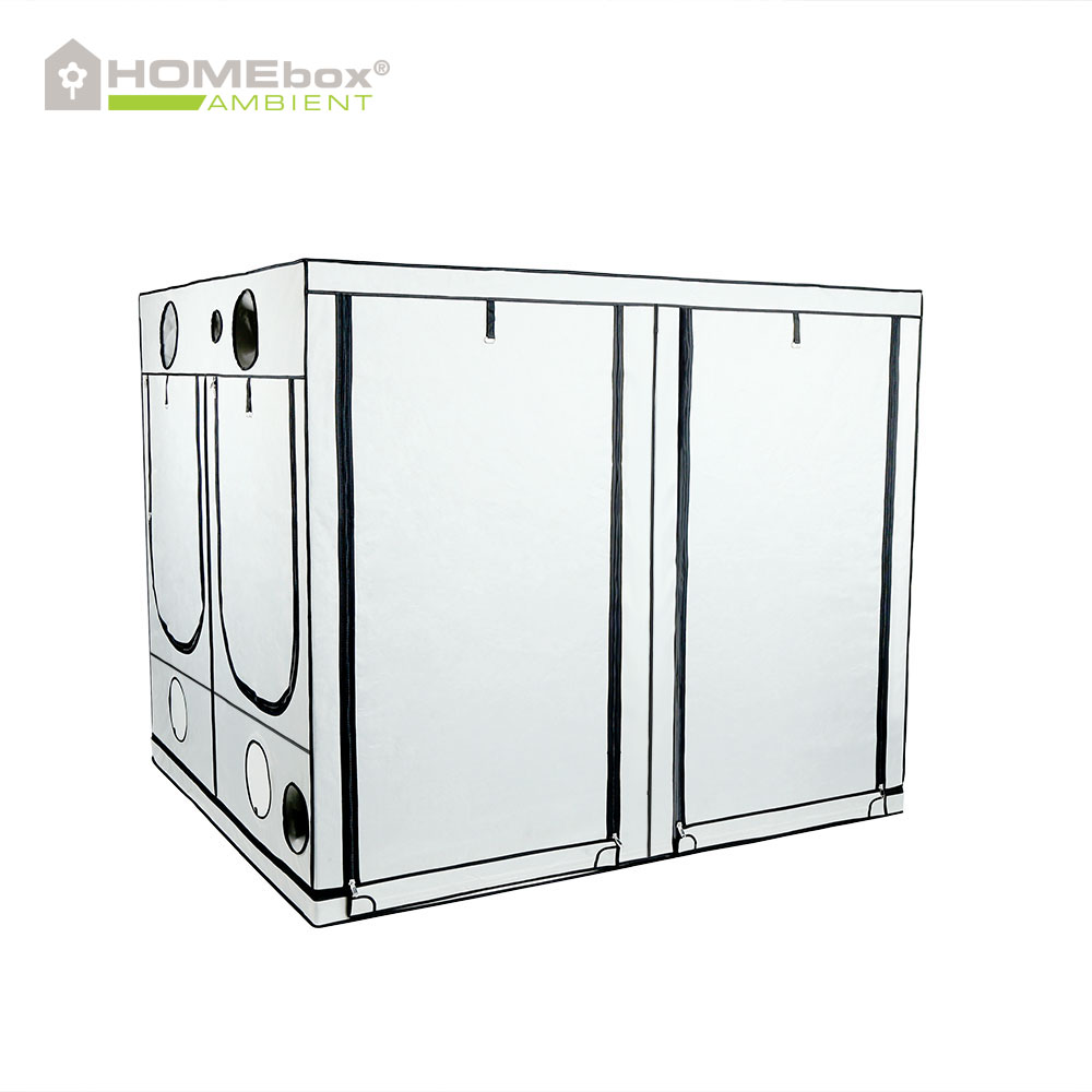 HOMEbox Ambient Q240+ - 3