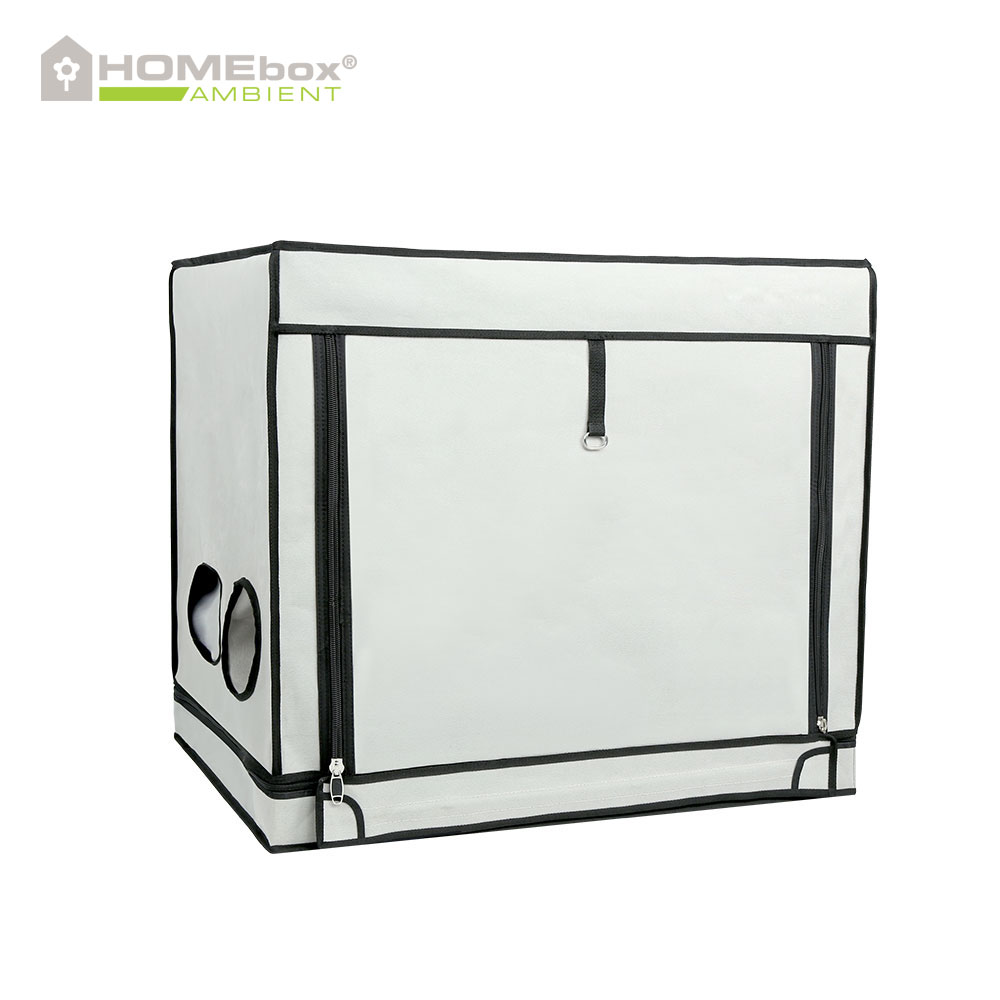 HOMEbox Ambient R80S - 3