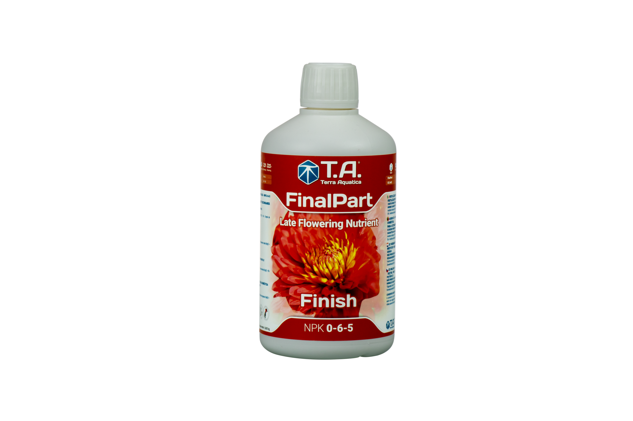 T.A Final Part (GHE Ripen) - 2