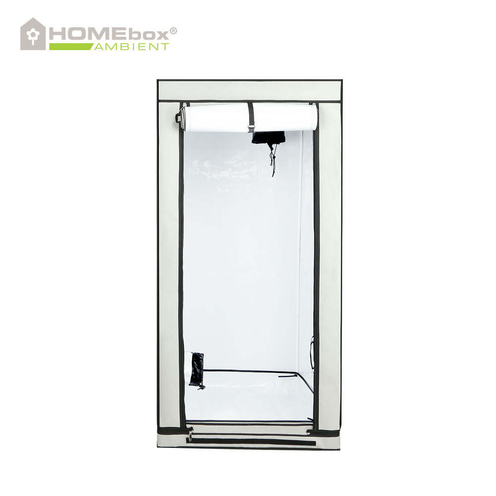 HOMEbox Ambient Q80+ - 2