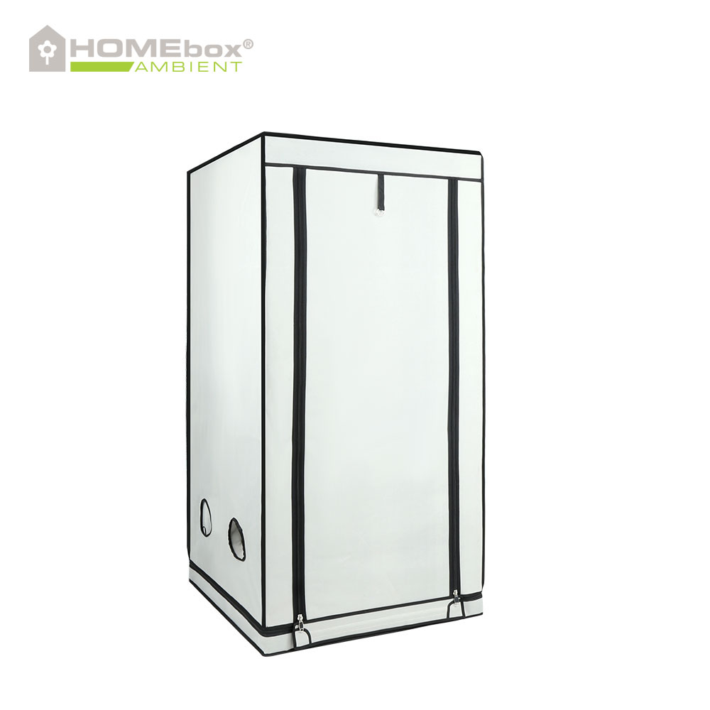HOMEbox Ambient Q80+ - 3