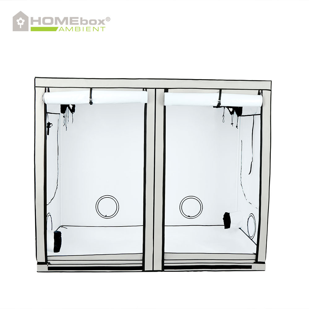 HOMEbox Ambient R240 - 2