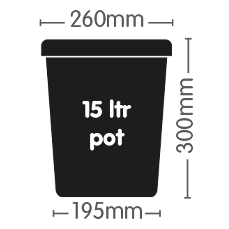 Auto8 15ltr - 6