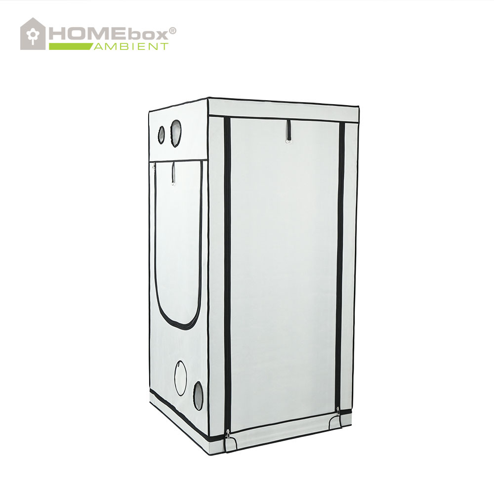 HOMEbox Ambient Q100 - 3