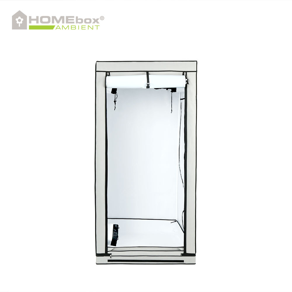 HOMEbox Ambient Q100 - 2