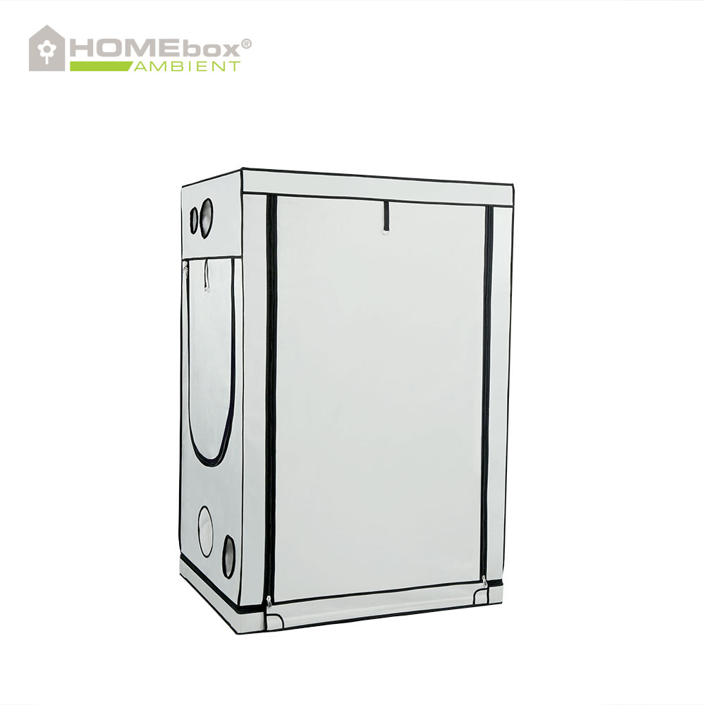 HOMEbox Ambient R120 - 3