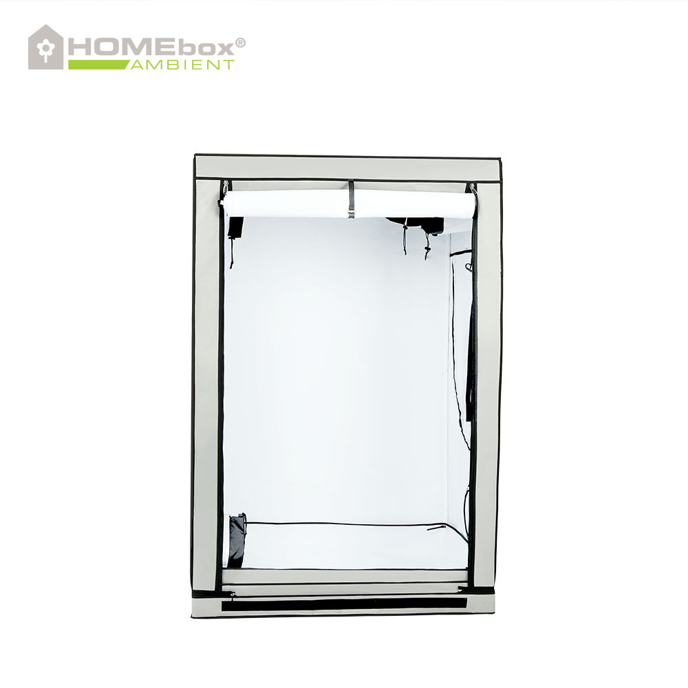 HOMEbox Ambient R120 - 2
