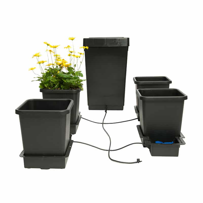 Autopot