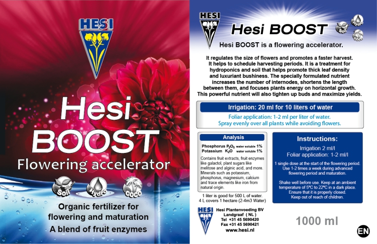 Hesi Boost - 2