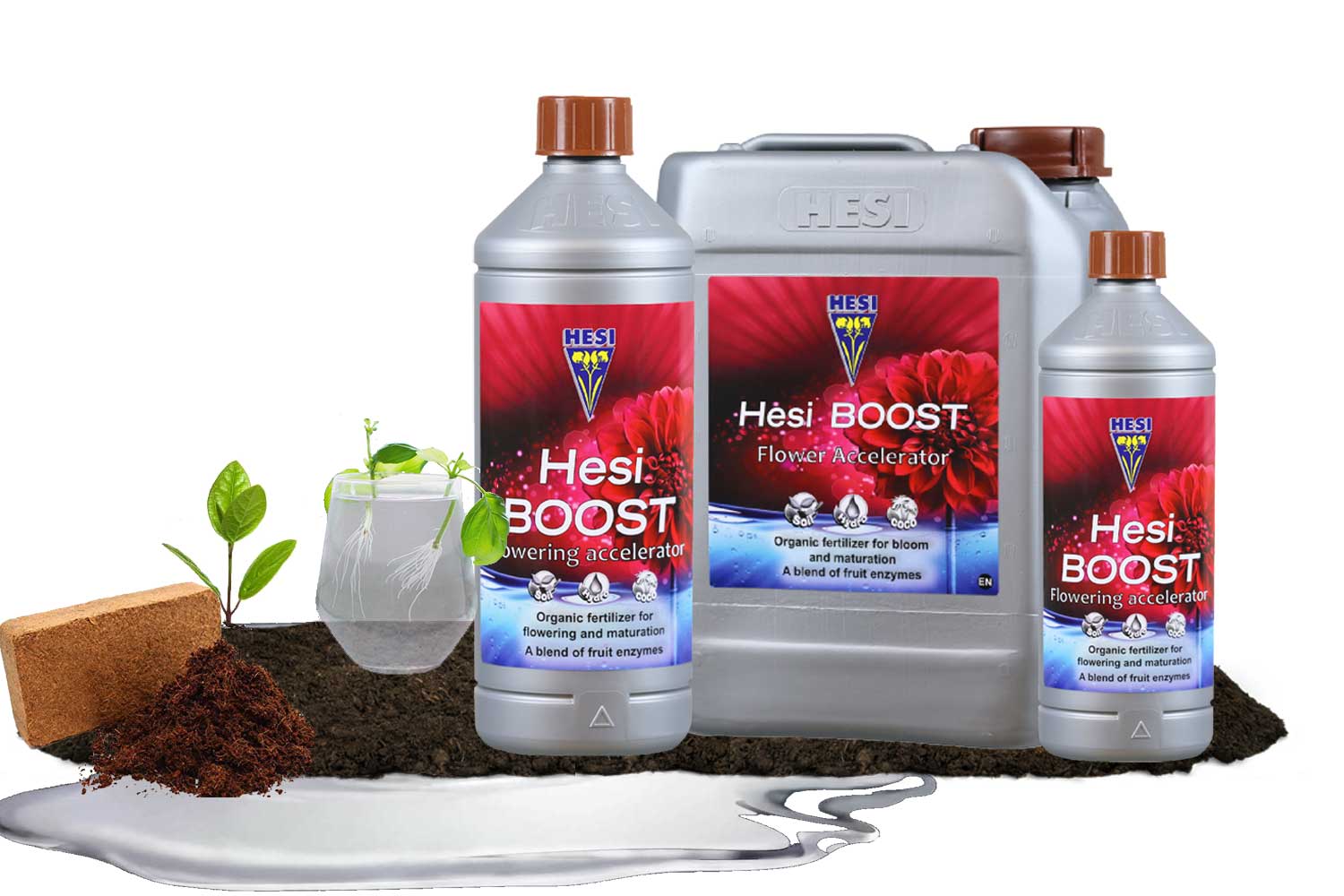 Hesi Boost