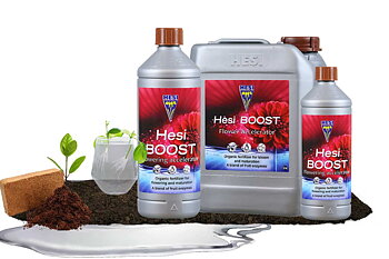 Hesi Boost