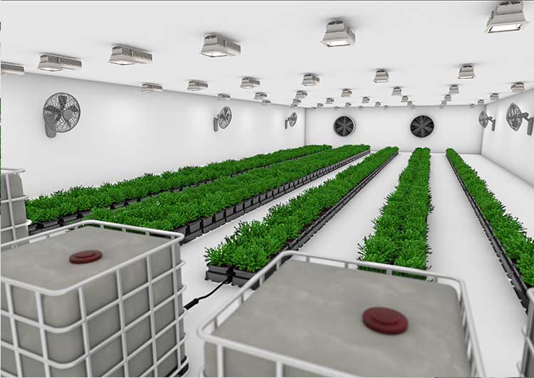 Autopot Easy2Grow 60 - 3