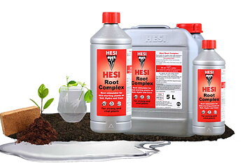 Hesi Root Complex