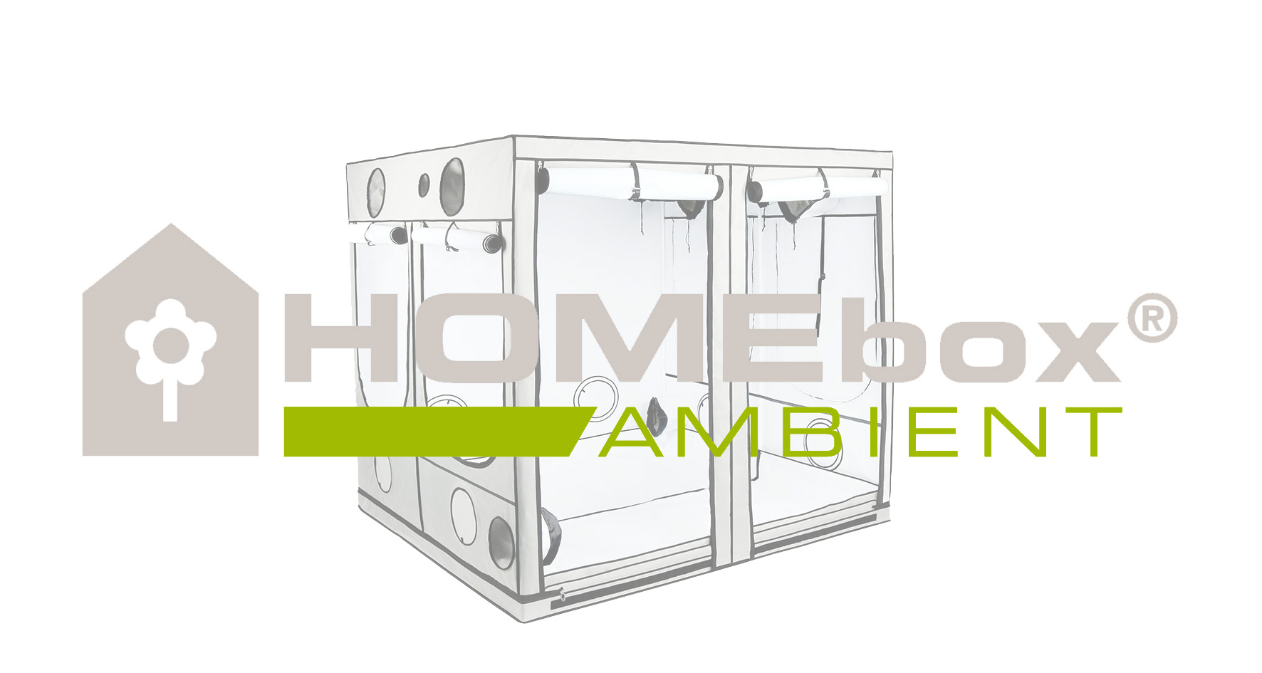 HOMEbox Ambient