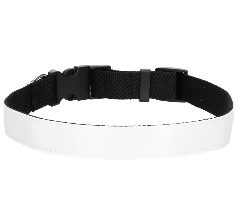 Djurhalsband med DITT eget tryck - 2