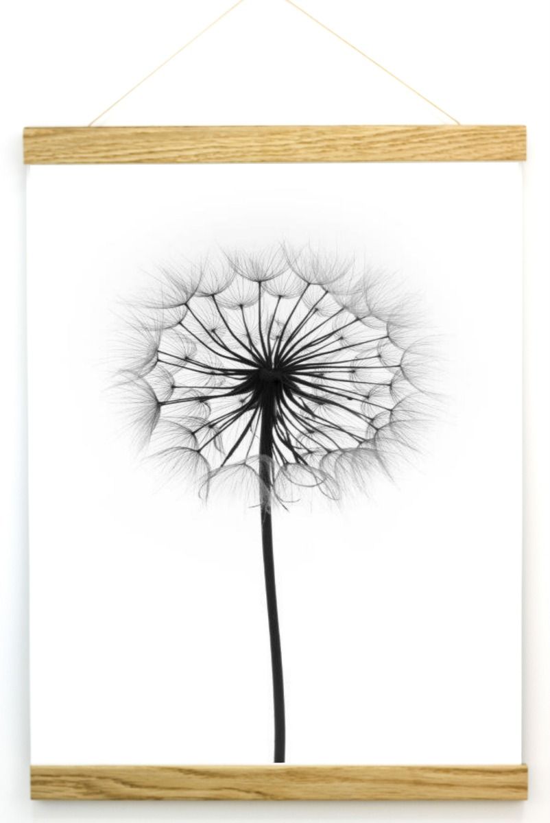 Poster Hanger -Ek Bredd 50 cm alt. 70 cm - 5