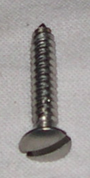 Plåtskruv rostfri 3x17mm