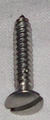 Plåtskruv rostfri 3x20mm