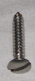 Plåtskruv rostfri 4x20mm