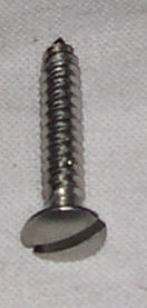 Plåtskruv rostfri 3x26mm