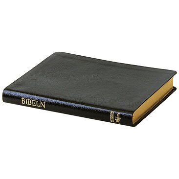 2:a sortering Svenska Folkbibeln 2015 Slimline, svart konstskinn 