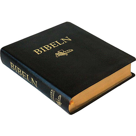 2.a sortering Svenska Folkbibeln 2015 Anteckningsbibel, svart cabraskinn