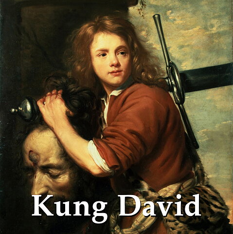 Kung David - ljudbok